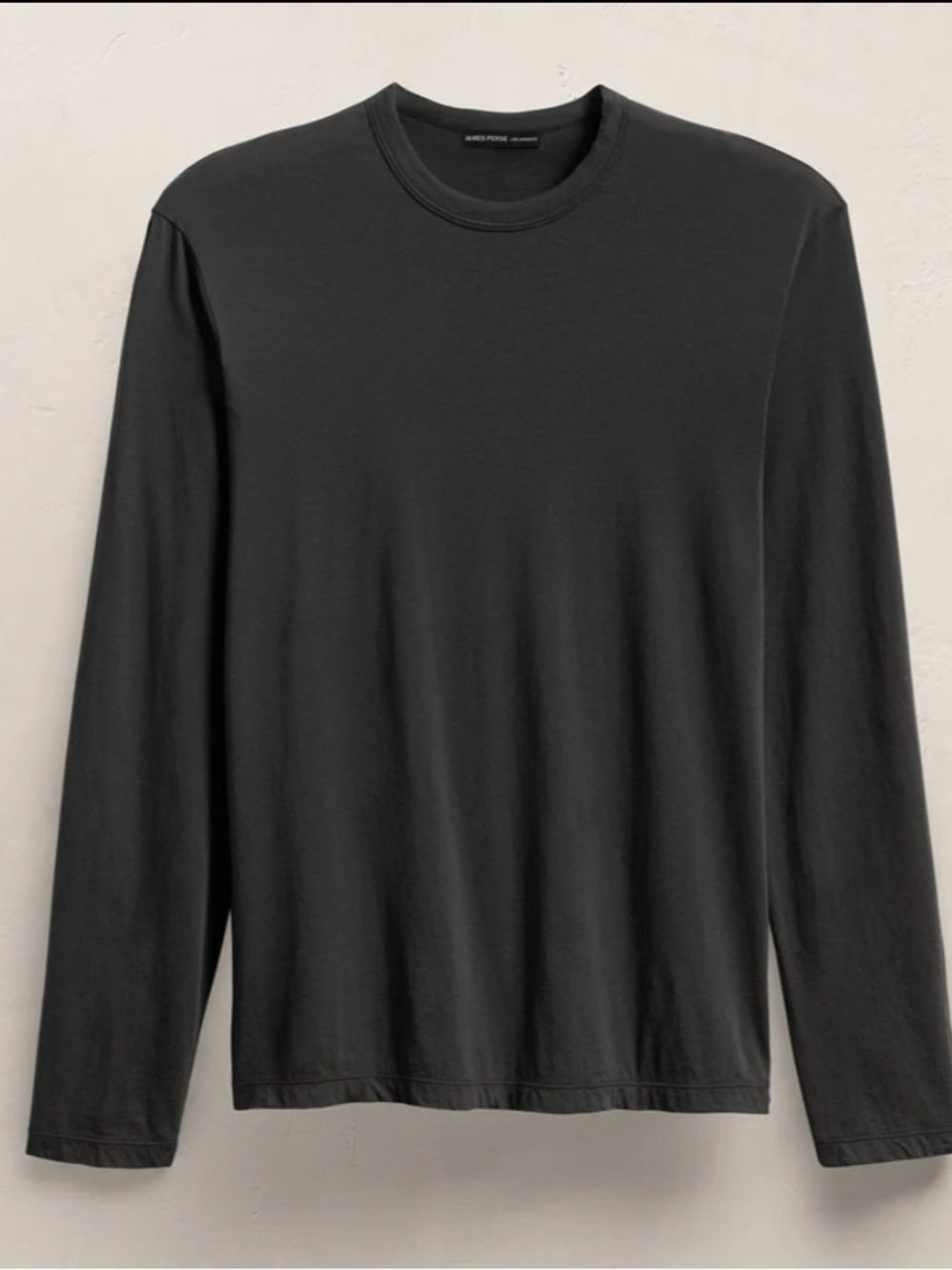 NWOT JAMES PERSE LUXE LOTUS JERSEY LONG SLEEVE IN CARBON